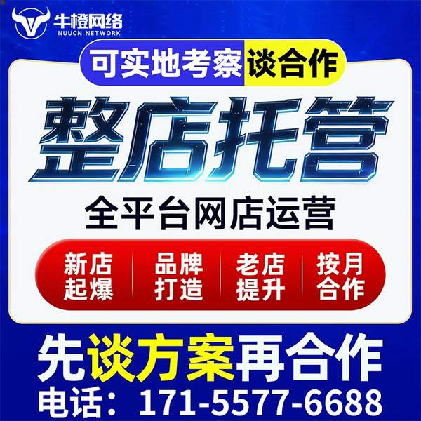 常宁电商代运营