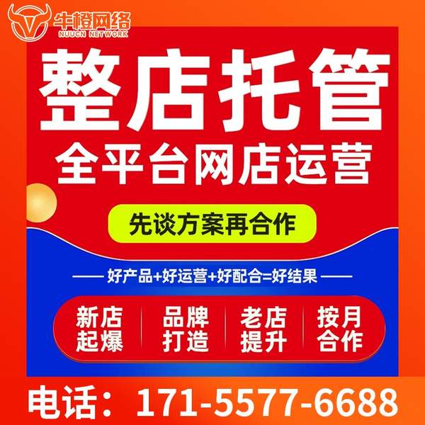 常宁电商代运营