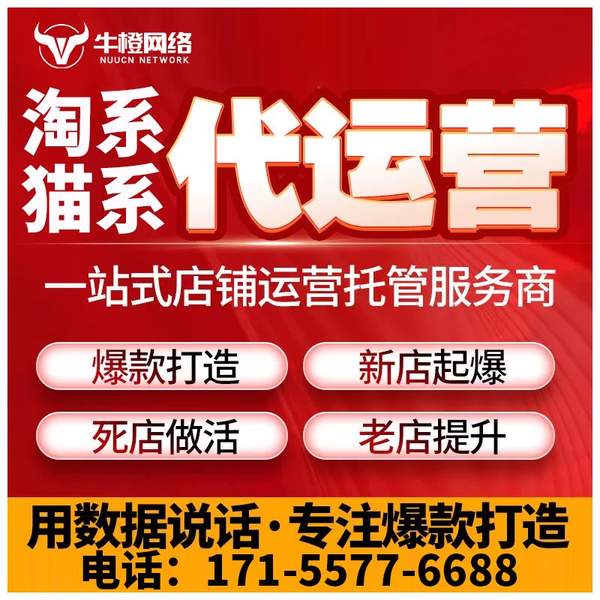 常宁电商代运营